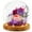 Purple, variant on Threns Rose in Glass Present Exquisite Flowers in Glass Dome with LED Light Decorative Light Up Flowers in Glass Red Flowers Inside the Glass Dome for Birthday Mother's Day Anniversary