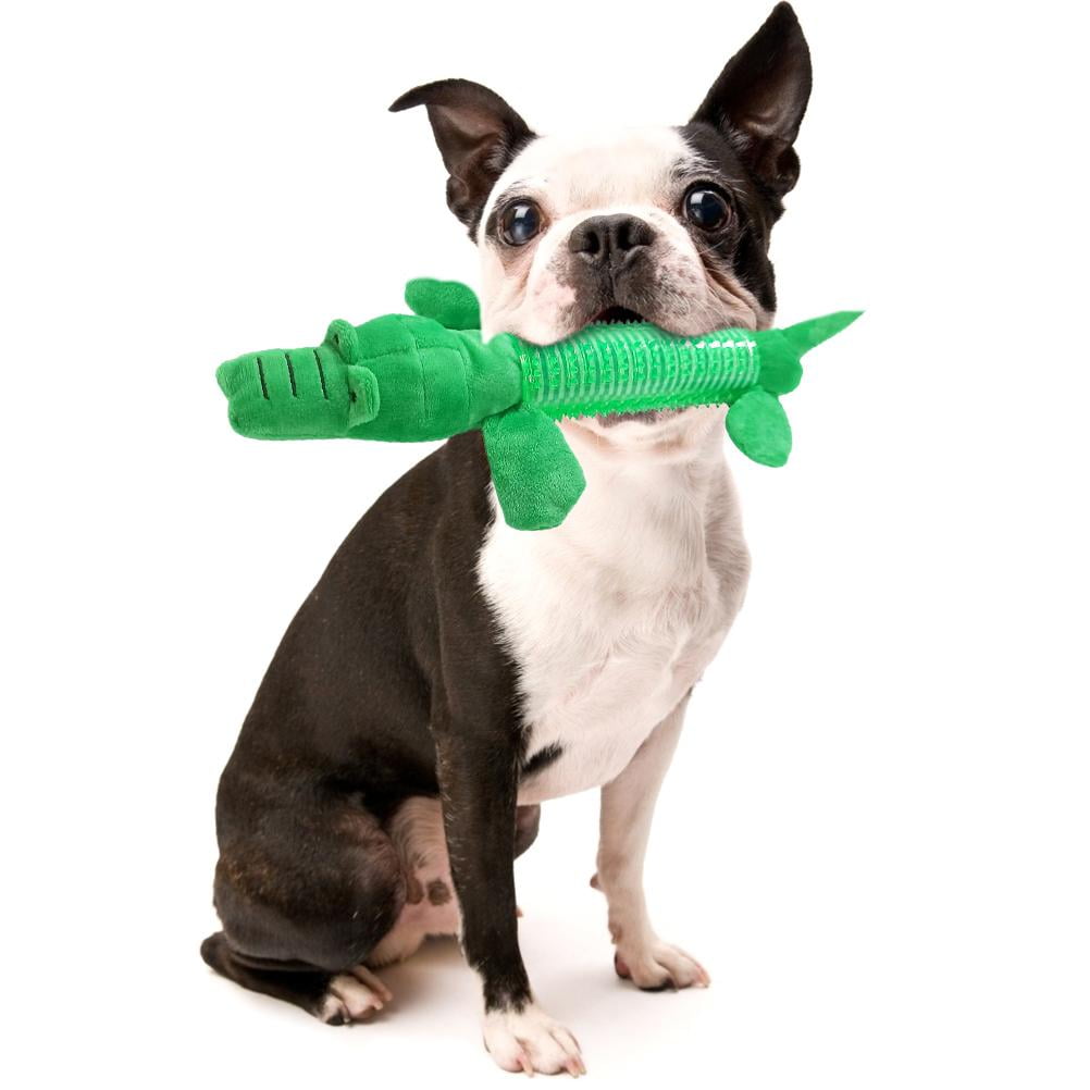 Do Dogs Chew Themselves