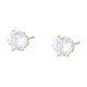 thumbnail image 1 of Clásicos Aretes Broquel Cristal Swarovski Dama Oro Laminado dorado Unitalla, 1 of 7