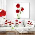 thumbnail image 4 of Designart Isolated Red Poppy Flowers - Floral Throw Pillow - 16x16, 4 of 5
