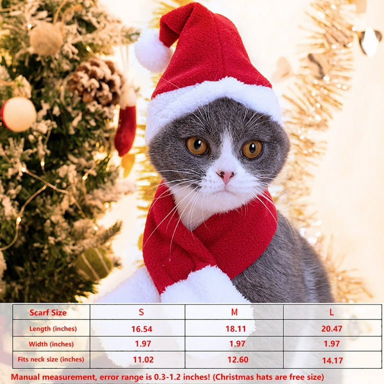 Cat with xmas hat sales