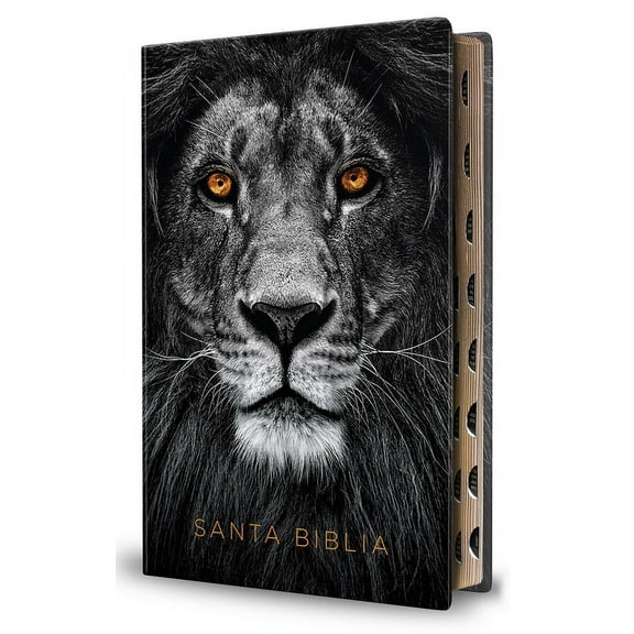 Biblia Reina Valera 1960 Letra Grande. Biblia LeÃ³n SÃ­mil Piel Ãndice / Spanish Bible Rvr 1960 Handy Size Large Print Imi, (Paperback)