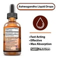 thumbnail image 2 of Ashwagandha Liquid Drops, KSM-66 Ashwagandha Root Extract (Withania Somnifera) Adaptogenic Ayurvedic, for Stress Relief, Anxiety Relief, Adrenal Support, Thyroid Support, Sleep Aid, 2 of 5