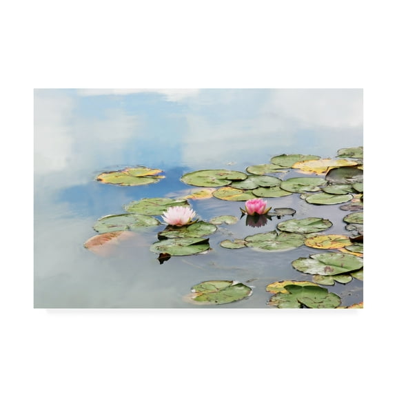 Trademark Fine Art 'Monets Garden Lily Pads' Canvas Art by Brooke T. Ryan