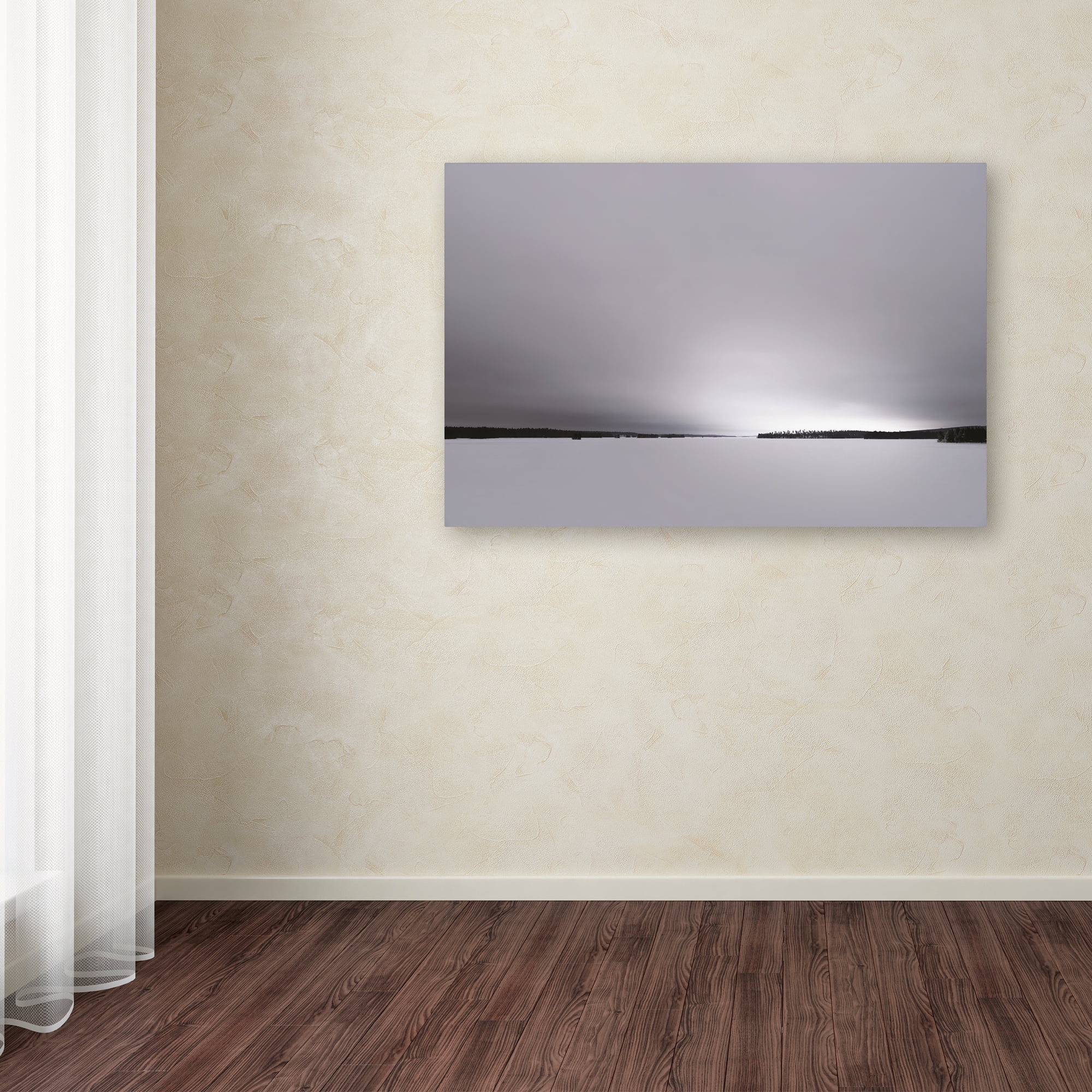 Trademark Fine Art 'Neutral Gray Finnish' Canvas Art by Philippe Sainte-Laudy