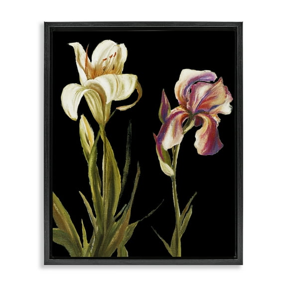 Stupell Industries Alluring Iris Blooms Botanical & Floral Painting Black Floater Framed Canvas Art Print Wall Art, 17 x 21