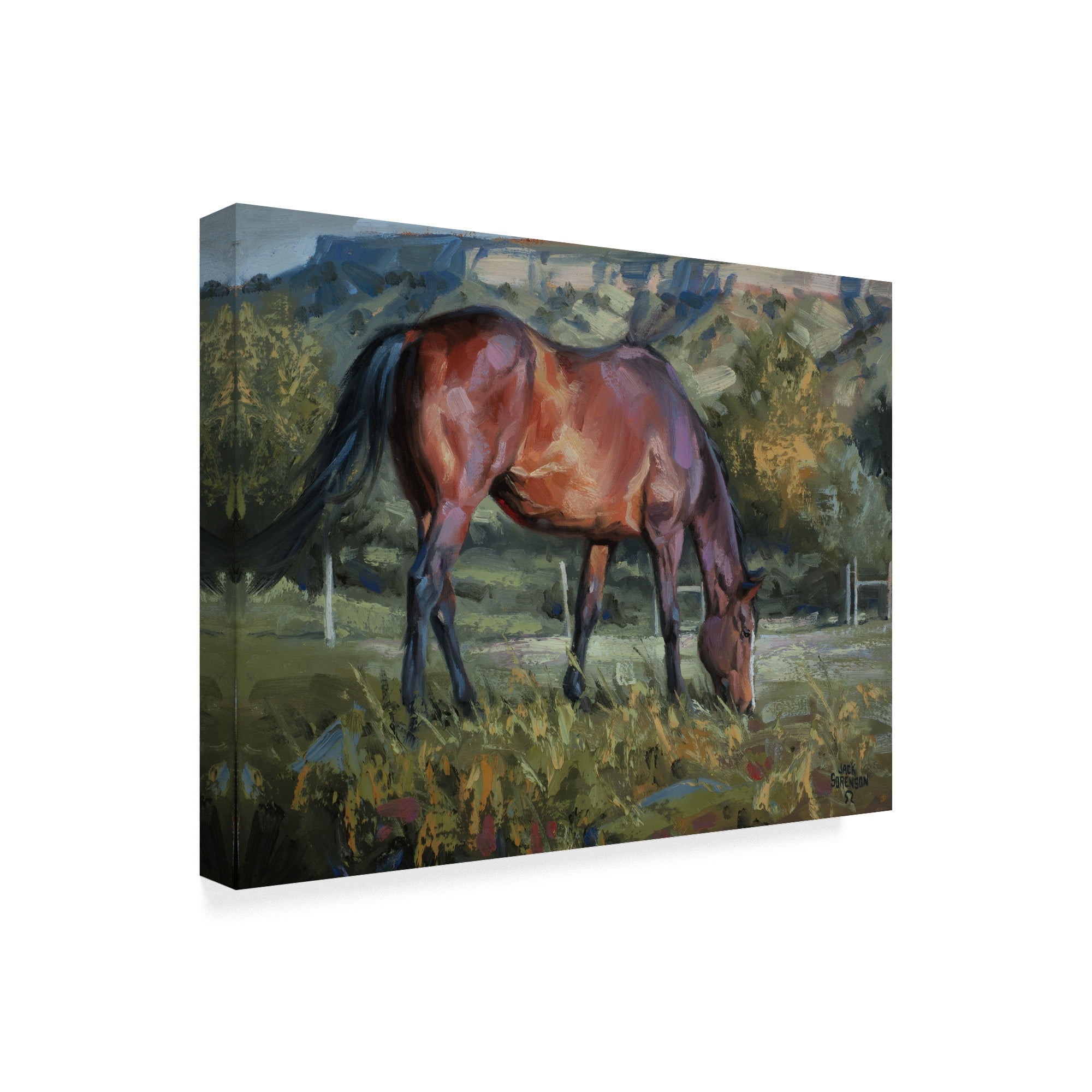 Trademark Fine Art 'The Bay' Canvas Art by Jack Sorenson