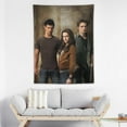 thumbnail image 3 of The Twilight Saga Tapestry Wall Hanging Blanket Soft Tablecloth Wall Hanging Tapestries Home Decor Posters for Home Dormitory, 3 of 8