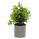 thumbnail image 1 of Bola de flores falsas bonsái decoración del hogar decoración de fiesta flor artificial planta verde planta en maceta, 1 of 5