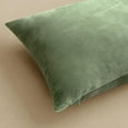 thumbnail image 6 of Pack of 2 Sage Green Pillow Covers 20x20 Inch Decorative Velvet Throw Pillow Covers Modern Soft Couch Throw Pillows Farmhouse Home Decor for Spring Sofa Bedroom Living Room, 6 of 7