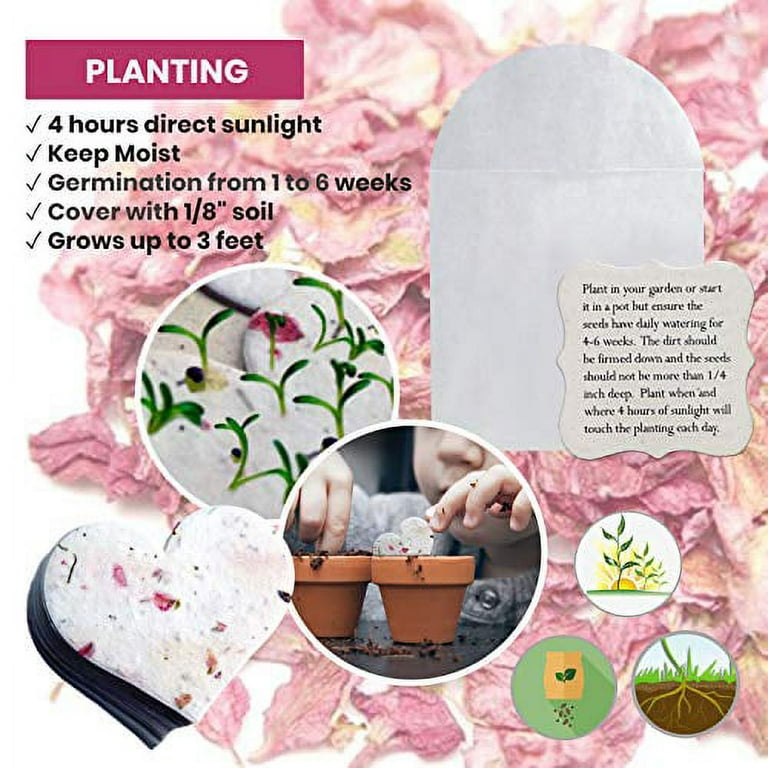 Seed Paper Sheets, Plantable Stationery