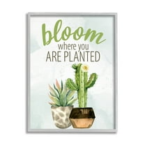 Stupell Industries Bloom Where You Are Planted Cactus Succulent Graphic Art Gray Framed Art Print Wall Art, Design by Kim Allen