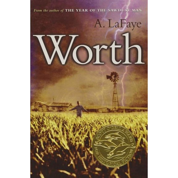 Worth (Hardcover)