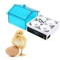 thumbnail image 3 of Augper Clearance Egg Incubator, Automatic Egg Hatching Incubator Temperature Control for Hatching Chicken Duck Quail Bird Eggs (4 Eggs), 3 of 7