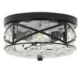 thumbnail image 5 of Modern Small Flush Mount Ceiling Light With Clear Hammered Glass Brushed Light Fixtures 2-Lights Farmhouse Ceiling Light Antique Ceiling Light for Kitchen Dining Room Hallway 9.84"D, 5 of 8