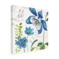 thumbnail image 4 of Trademark Fine Art 'Blue and Green Garden III' Canvas Art by Lisa Audit, 4 of 4