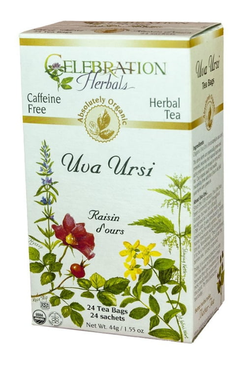 Celebration Herbals Organic Uva Ursi Tea Caffeine Free 24 Tea Bags