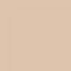 COLORSHOT Satin Spray Paint, Skinny Dip (Beige), 10 oz, Fast-Drying Acrylic Paint, Indoor & Outdoor Use