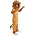 thumbnail image 3 of Seasons Child Lion Costume Animal Pretend Cosplay Costume for Kids, Size (2-4T), 3 of 7