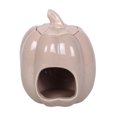 thumbnail image 3 of Something Different Pumpkin Oil Burner, 3 of 3