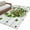 Off-White, variant on Area Rug for Living Room, St Patrick's Day Non-Slip Indoor Large Carpet for Bedroom/Dining Room, Shamrock Leaf Coffee Cups Books Dark Green Washable Low-Profile Rectangle Floor Runner Rugs - 5 x 7 Ft