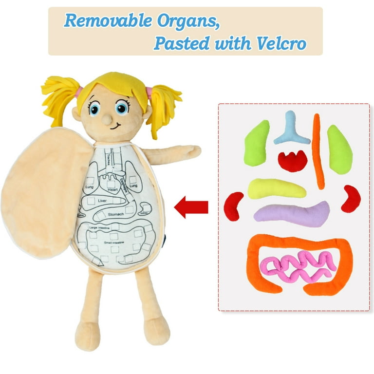 Stuffed animal with removable organs new arrivals