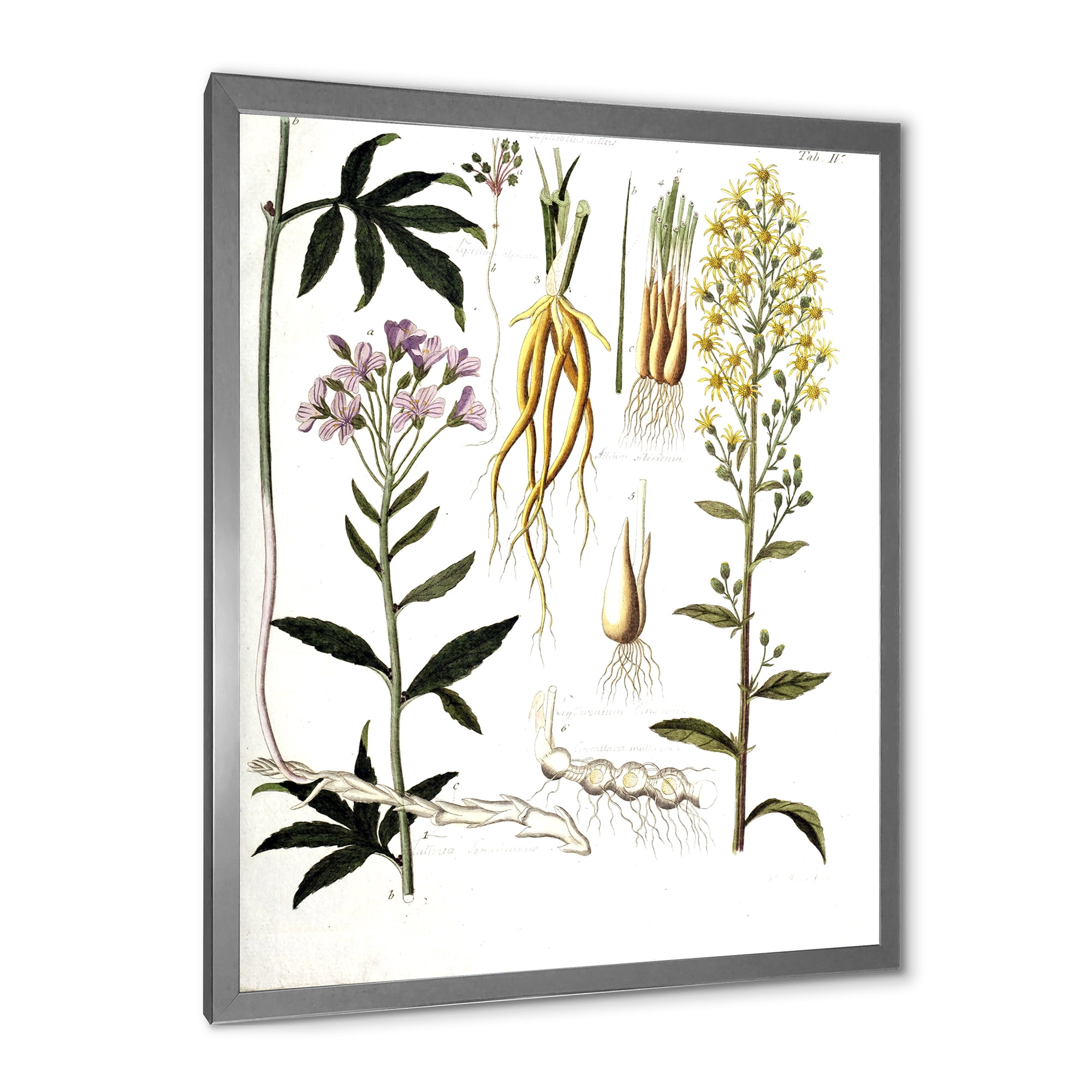 Designart 'Ancient Plant Life VIII' Farmhouse Framed Art Print