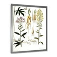 thumbnail image 2 of Designart 'Ancient Plant Life VIII' Farmhouse Framed Art Print, 2 of 4