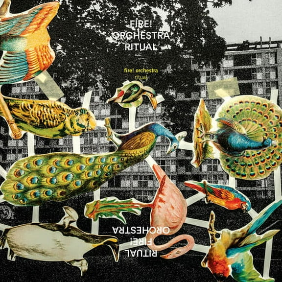 Fire Orchestra - Ritual - Jazz - CD
