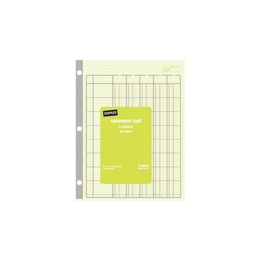 Staples Columnar Books 100 Pages 5 Columns Green 2/Pack (217851ABF)