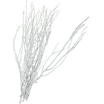 BESTOYARD White Dried Branches for Vase Decor and Floral Arrangements 10Pcs