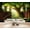 Color 3, variant on Wallpaper Grand Vintage Library Interior Wooden Shelves Archways Peel and Stick Wall Murals 69"H x 96"W Removable PVC Wall Paper Self-Adhesive Wall Paintings Art Decor for Bedroom Living Room