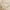 Beige, variant on Kripyery Women Warm Hat Thickened Fur Balls Decor Plush Lining Windproof Comfortable Ear Protection Christmas Gifts Autumn Winter Cute Reindeer Antlers Beanies Wool Cap for Outdoor