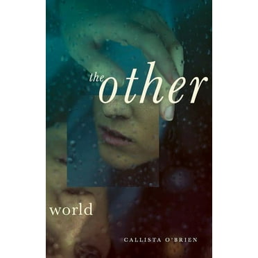 The Other World (Paperback)