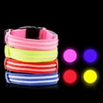 thumbnail image 3 of SPRING PARK Dual Fiber Shiny LED Dog Collar, USB Rechargeable Polyester Webbing Adjustable Glowing Pet Safety Collar, Reflective Light Up Collars, 3 of 7