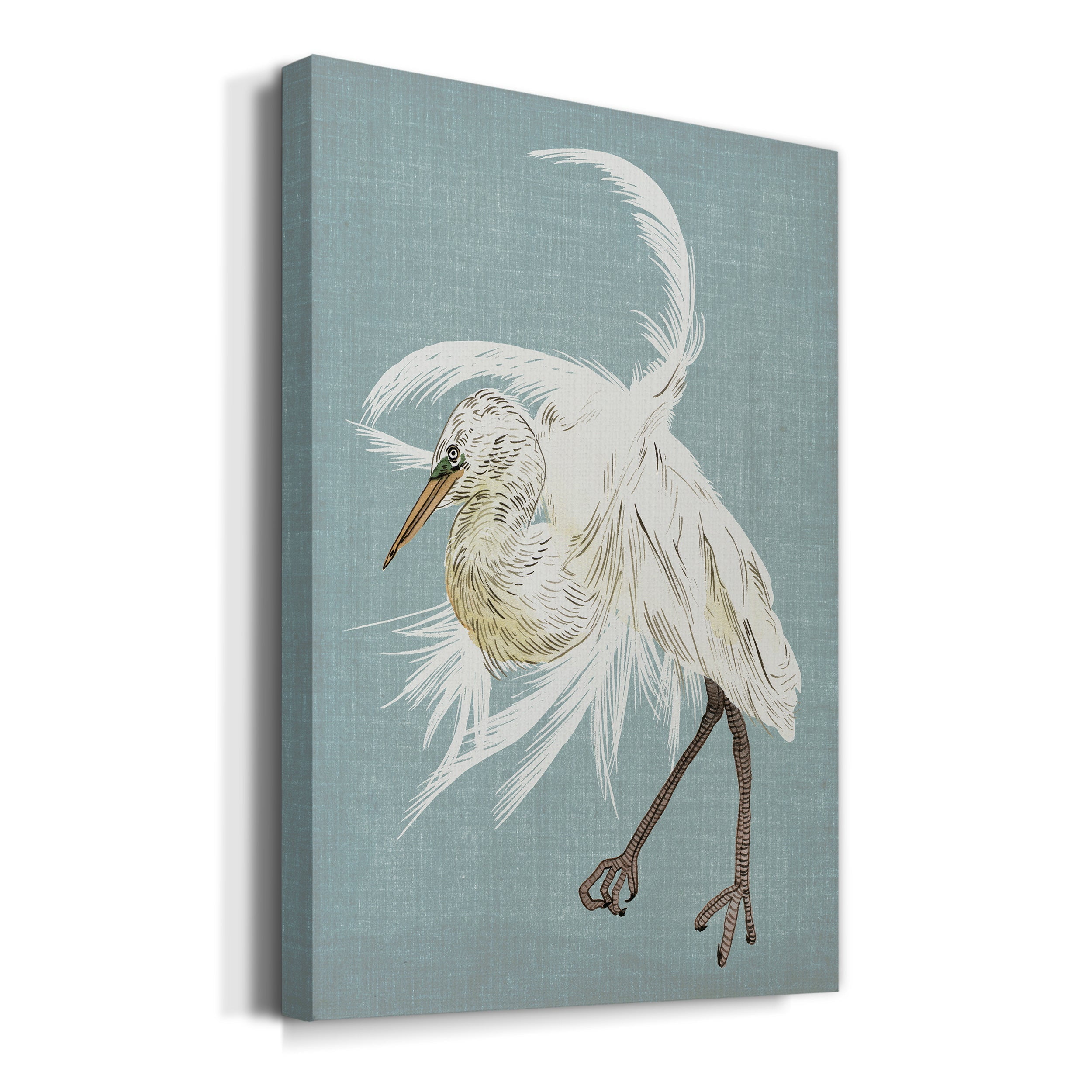 Heron Plumage IV Premium Gallery Wrapped Canvas - Ready to Hang