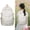 Orchids, variant on FXMLRLK 2026 Cute Preppy Bag Floral Printed Kawaii Backpack Cottagecore Aesthetic Backpack Laptop Daypack (Roses)