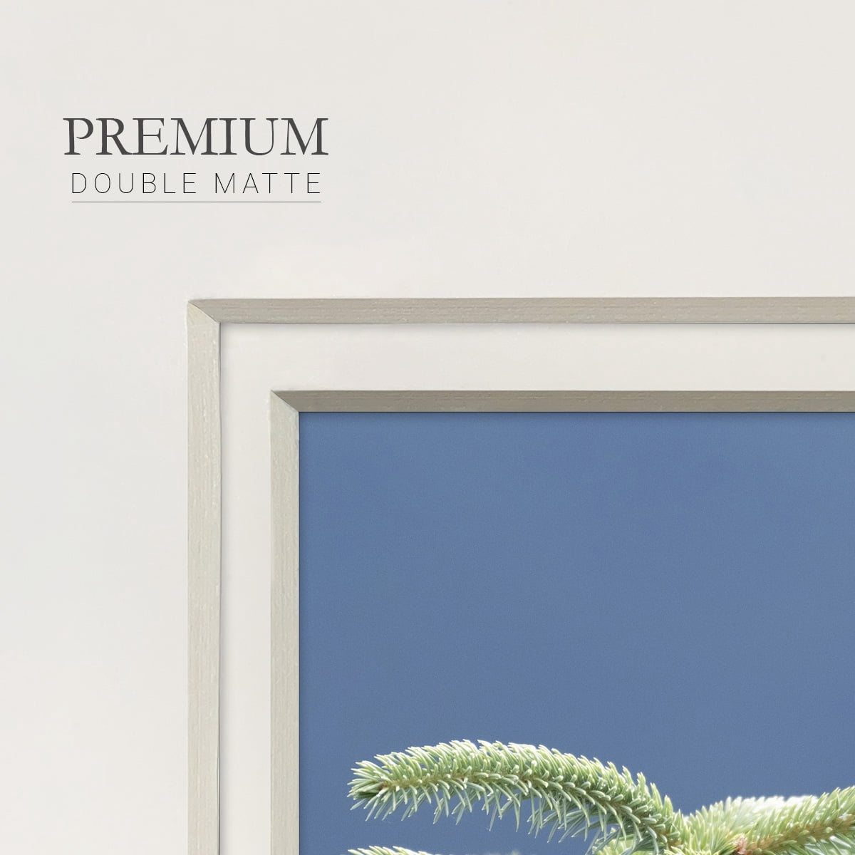 Evergreen PerchPremium Framed Print