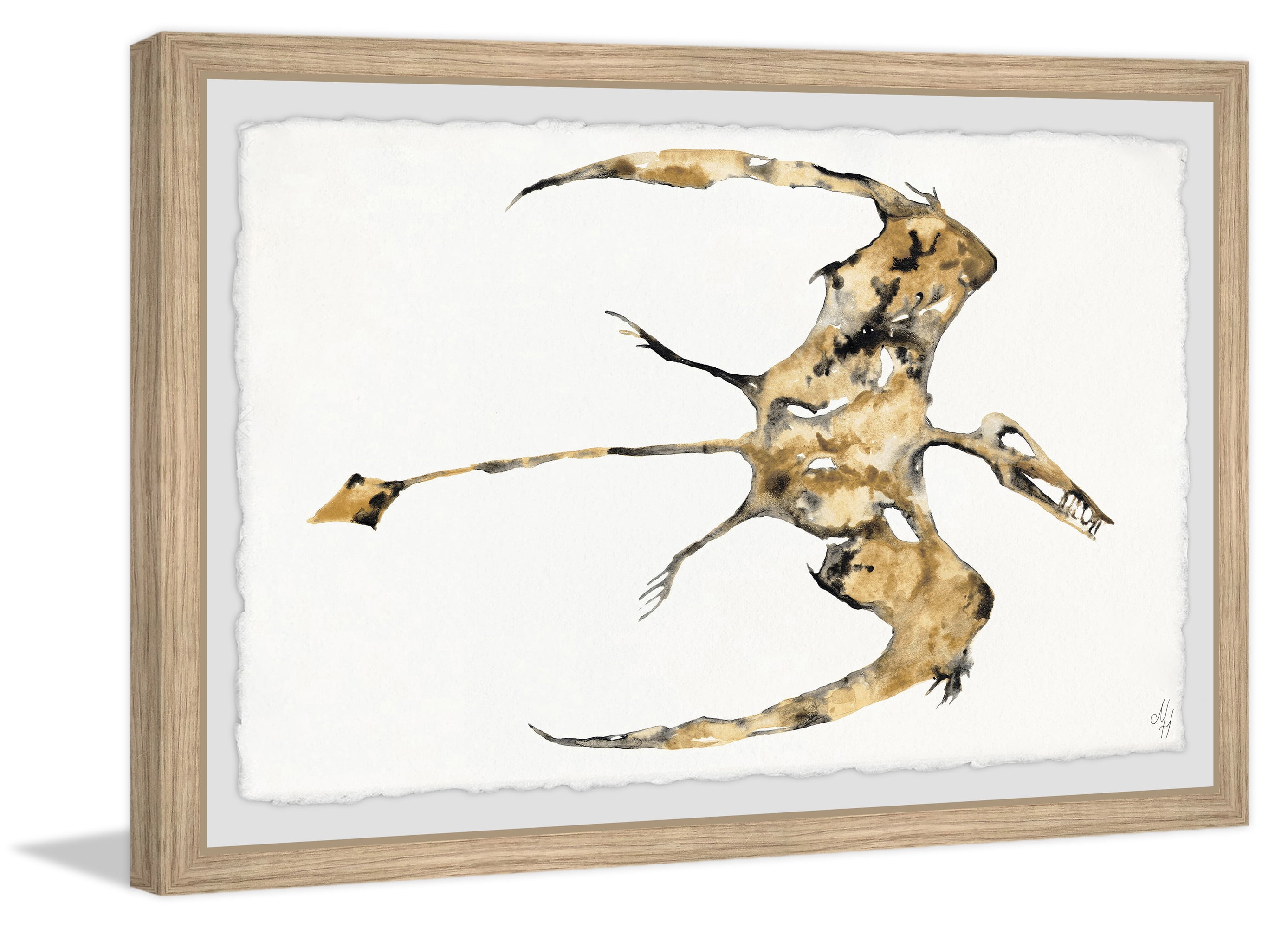 Marmont Hill Pterodactyl Fossil Framed Wall Art, 12.00" x 1.50"