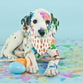 thumbnail image 5 of dajkiuy 1 Pcs Easter Dog Bandana,Triangle Reversible Pet Scarf for Boy and Girl,Premium Durable Fabric, Holiday Bandana for Small Medium Large and Extra Large Dogs, 5 of 7