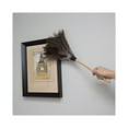 thumbnail image 7 of Boardwalk Professional Ostrich Feather Duster, 13" Wood Handle, 7 of 7