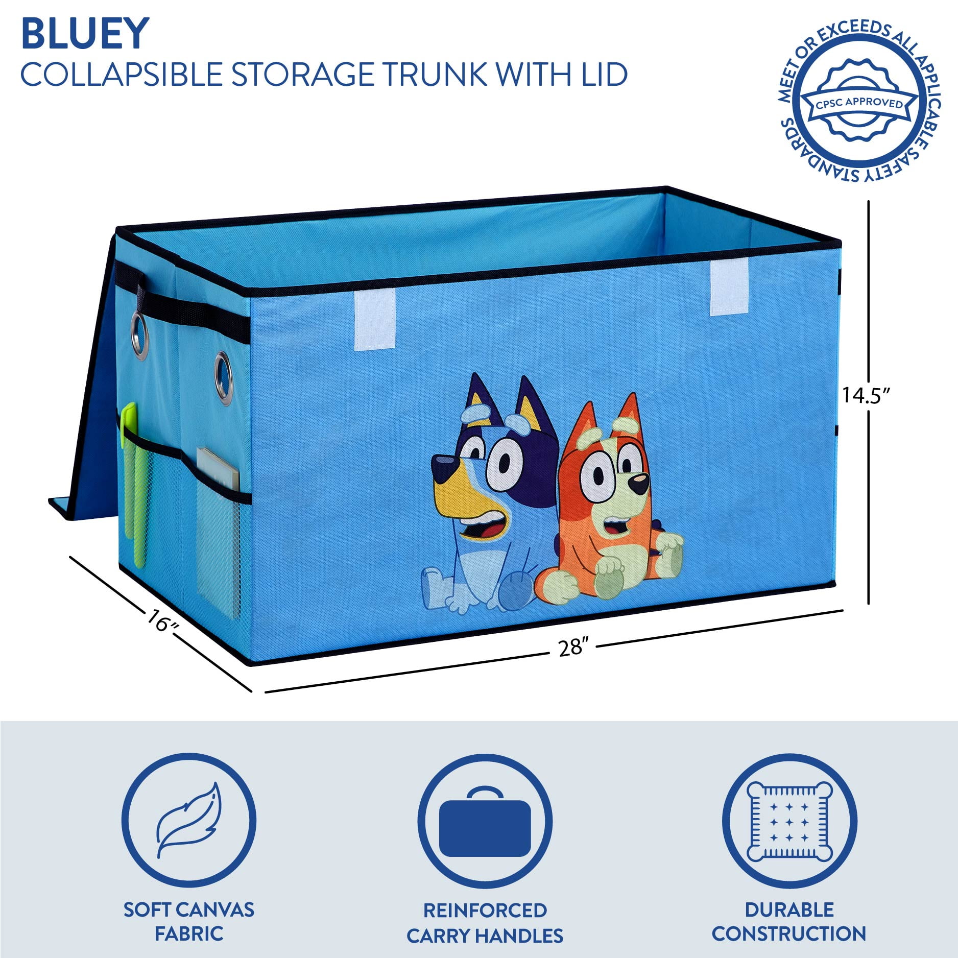 Bluey 22.5" W x 13.5" H Storage Trunk