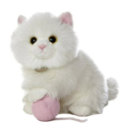 miyoni tots cat