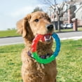 thumbnail image 2 of KONG® Twistz Ring Durable Dog Toy, Small, 2 of 4