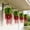 as show, variant on Rourlinge Artificial Faux Hanging Flower Plants with Basket Spring Decoration, Simulation of Persian leaf golden bell willow Realistic UV Resistant for Outside Garden Porch Patio Yard Home Decor