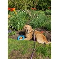 thumbnail image 2 of The Show and Tail, Float and Fetch Fun Waterproof Nylon Pet Throw Toy - AquaPaw, 8.5 Inch Size, Blue, 2 of 4
