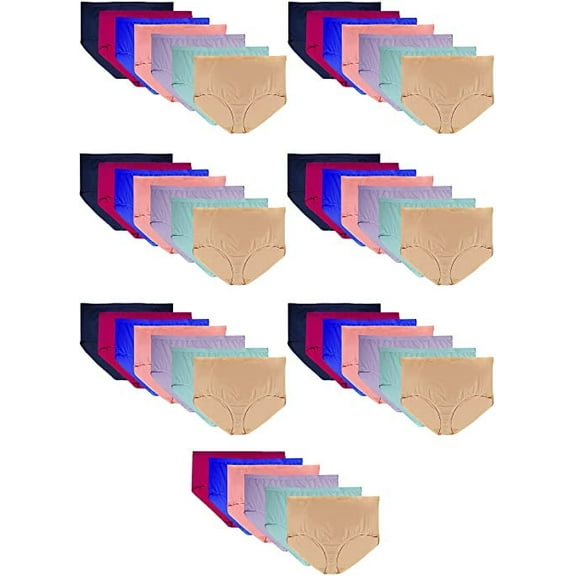 48 Pack Plus Size Womens Panties Wholesale, 3X, Ladies Briefs in Bulk, Homeless Shelters Charity Donation