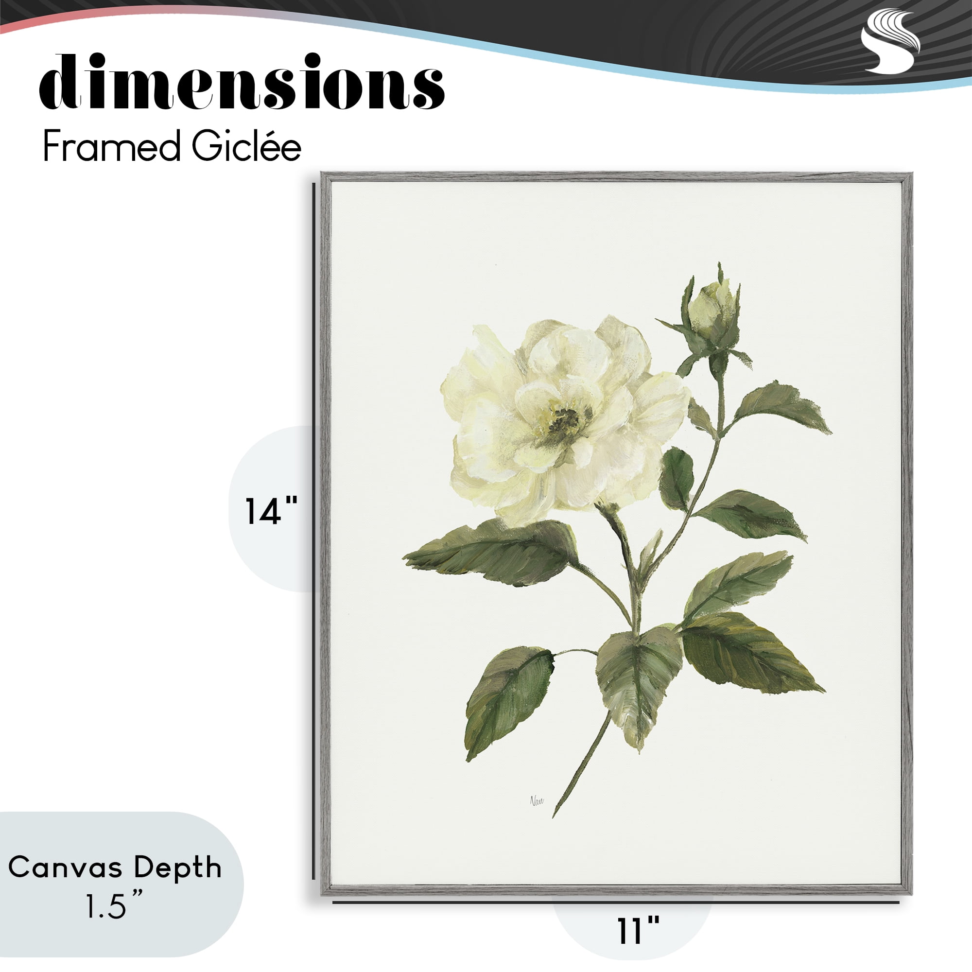 Stupell Industries Ivory Rose Bloom With Green Foliage Gray Framed Giclee Art, design by Nan