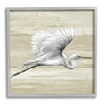 thumbnail image 4 of Stupell Industries Flying Heron Sand Textured Background Natural Tones,24 x 24, Design by Patricia Pinto, 4 of 5