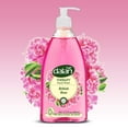 thumbnail image 3 of Dalan 2350027 13.5 oz Liquid Hand Soap with Pump - Smyrna Fig, Purple - Case of 24, 3 of 6